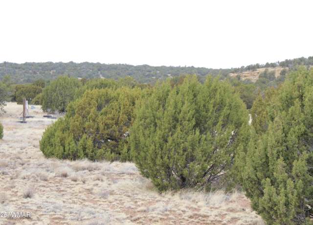 Property at 39 County Road 3034, Concho, AZ 85924