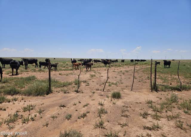 Property at TBD Near Old Holbrook Rd Unit Northern Sky Ranch, Holbrook, AZ 86025