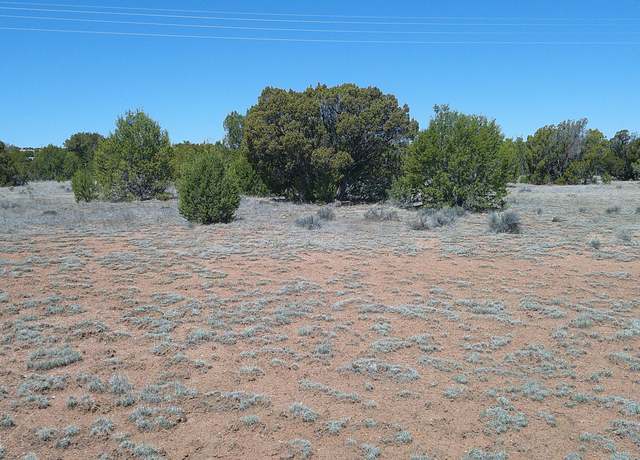 Property at TBD Concho Vly, Concho, AZ 85924