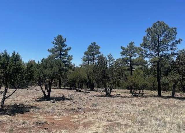 Property at 640 S Creekside Dr, Show Low, AZ 85901
