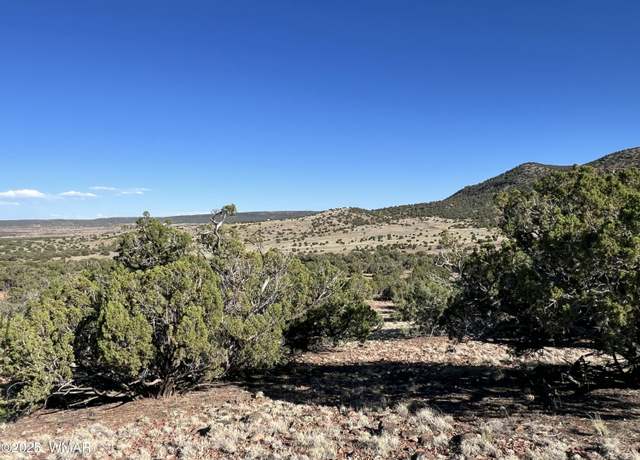 Property at 006 N8604, Concho, AZ 85924