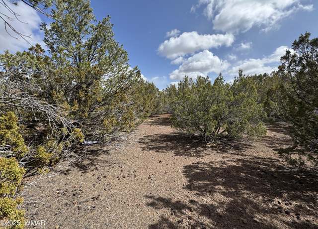 Property at 3187 TBD, Vernon, AZ 85940