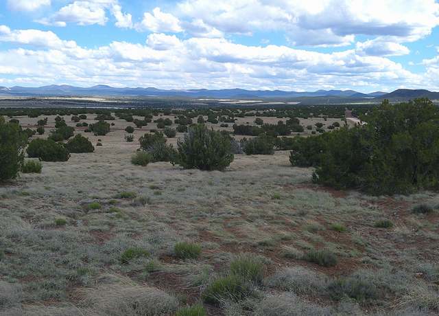 Property at 24 County Road 8009, Concho, AZ 85924