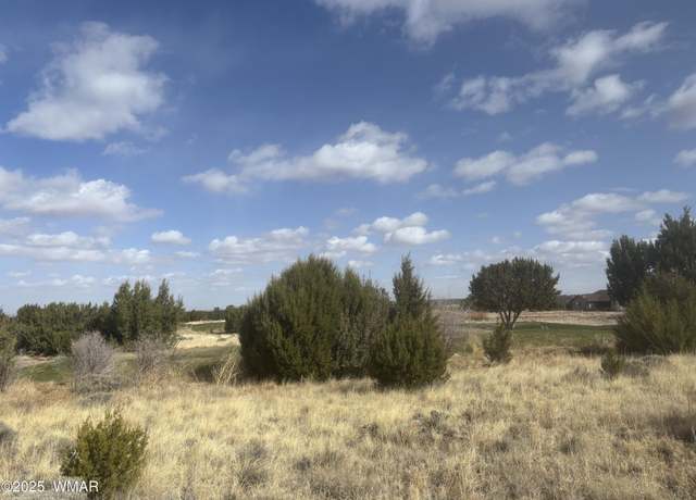 Property at 1956 Creekside Cir, Show Low, AZ 85901