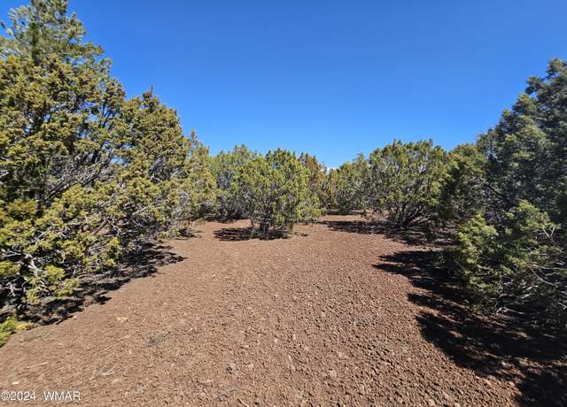 Property at 45 CR 3131, Vernon, AZ 85940