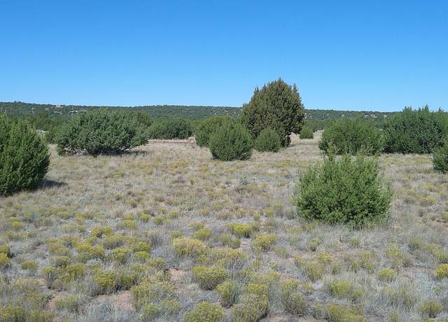 Property at 20 CR Rd #8212, Concho, AZ 85924