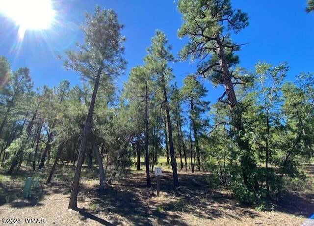 Property at 2360 Pinegrass Rd Lot 27, Show Low, AZ 85901