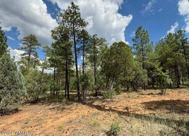 Property at 2341 Pinegrass Rd Lot 25, Show Low, AZ 85901