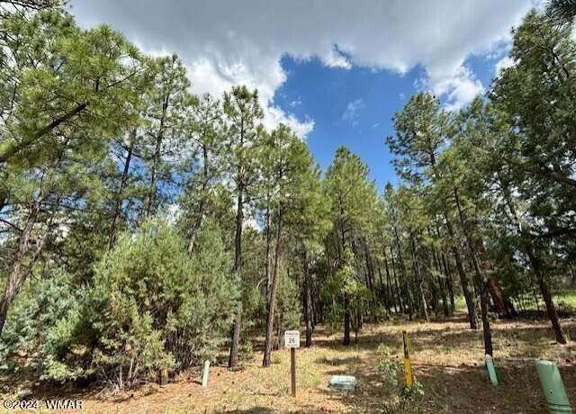 Property at 2340 Pinegrass Rd Lot 26, Show Low, AZ 85901