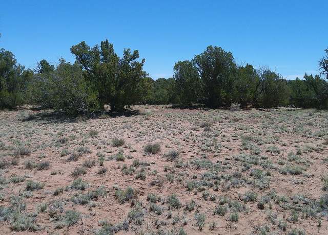 Property at TBD Rio Rnch, Concho, AZ 85924