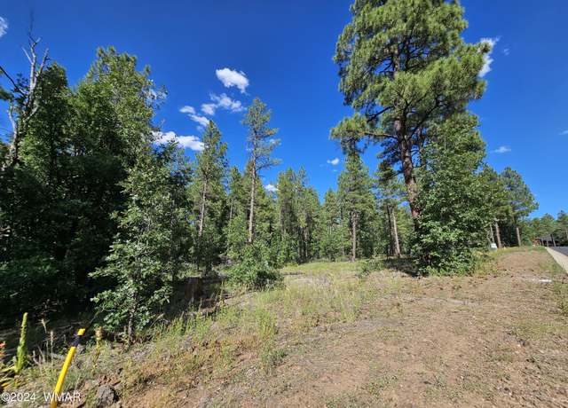 Property at 1390 Big Springs Trl, Lakeside, AZ 85929