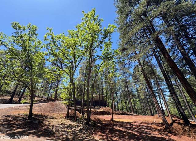 Property at 4080 Skyline Ter, Pinetop, AZ 85935