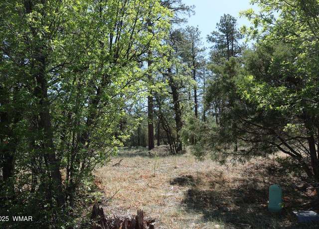 Property at 2450 W Whispering, Show Low, AZ 85901