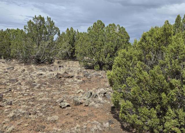 Property at 8770 Supancheck Rd, Show Low, AZ 85901