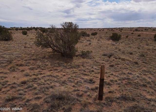 Property at 5489 White Antelope Rd, Snowflake, AZ 85937