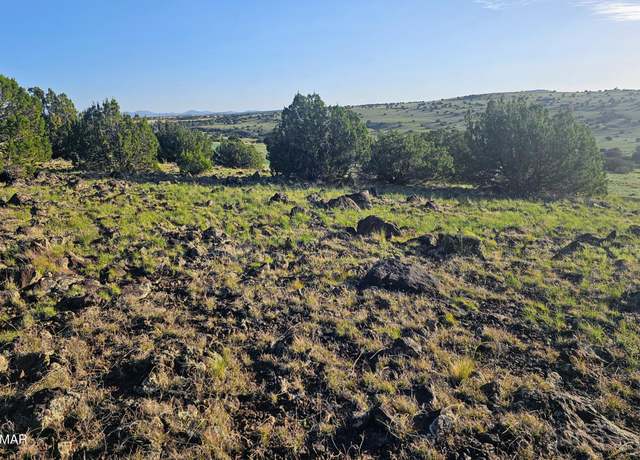 Property at TBD 3 Cree Ln, Concho, AZ 85924