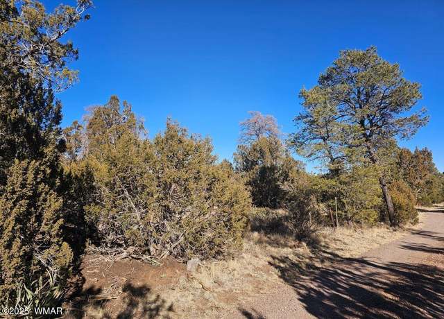 Property at TBD Buckskin Rd, Overgaard, AZ 85933