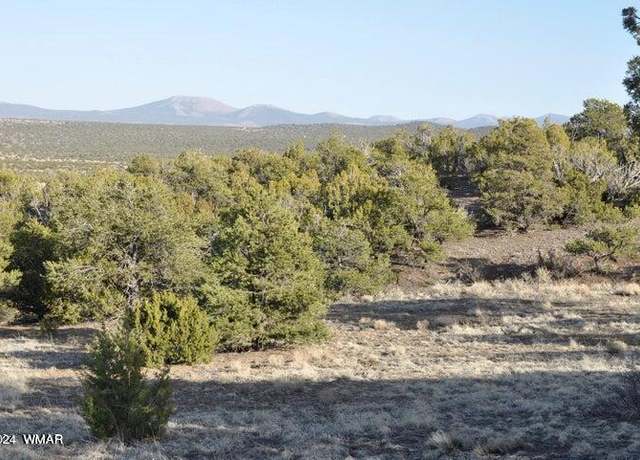 Property at 20 Co Rd 3044, Concho, AZ 85924
