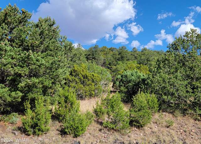 Property at Lot 10 S Spruce St, Eagar, AZ 85925