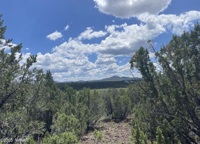 Property at 36 N 3321, Vernon, AZ 85940
