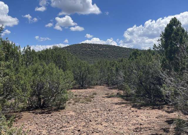Property at 34 County Rd 3323, Vernon, AZ 85940