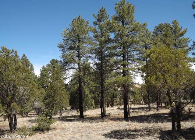 Property at 2214 Forest Park Dr, Overgaard, AZ 85933