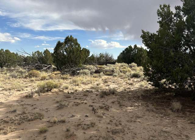 Property at TBD N7273, St. Johns, AZ 85936