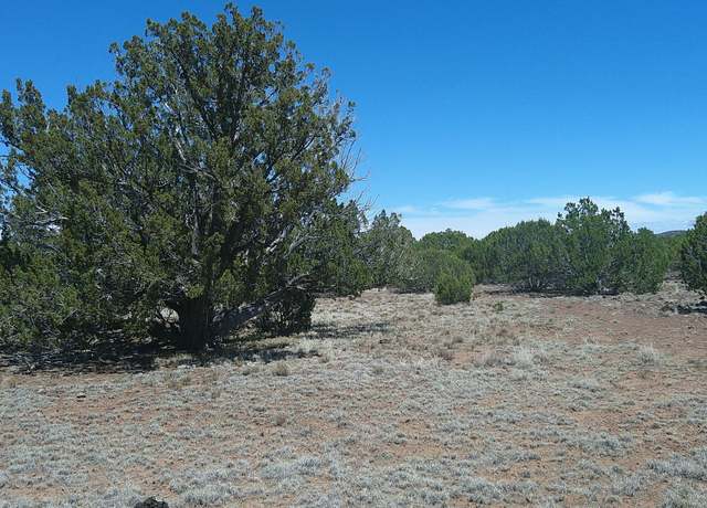 Property at TBD Show Low 40ac, Show Low, AZ 85901
