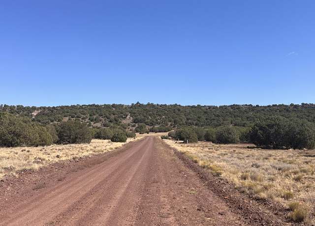 Property at TBD Lot 343 & 344, Concho, AZ 85924