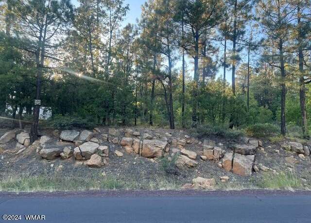 Property at 2670 Lockwood Dr, Lakeside, AZ 85929