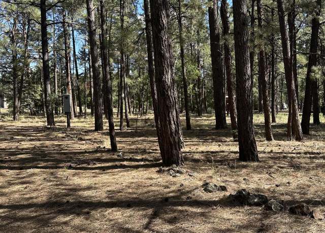 Property at TBD S Pine Meadow Ln, Pinetop, AZ 85935