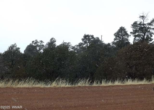 Property at 3500/3506 Evergreen Dr, Overgaard, AZ 85933
