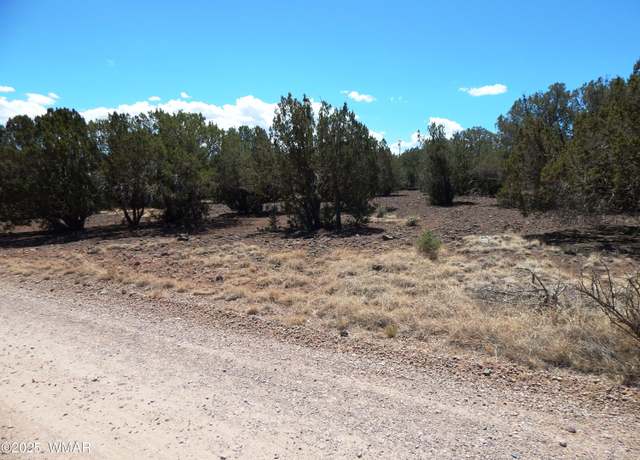 Property at 8337 Navajo Dr, Show Low, AZ 85901