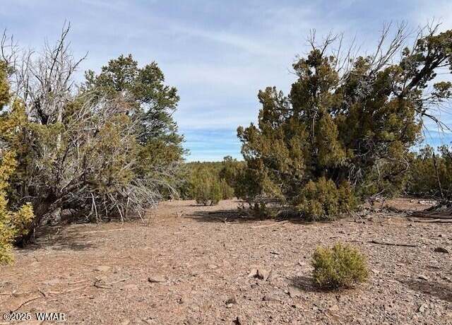 Property at 45 County Rd #8145, Vernon, AZ 85940