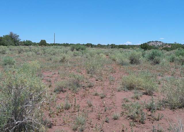 Property at 7 CR 8277 Rd, Concho, AZ 85924