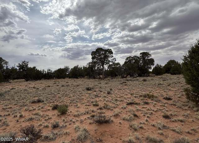 Property at TBD N5505, Concho, AZ 85924