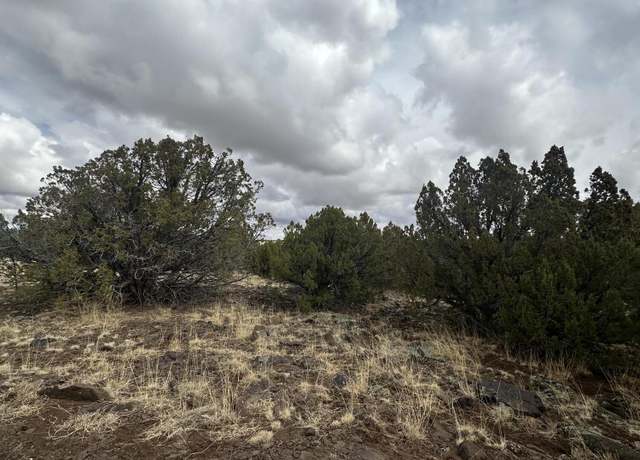 Property at 2093 Mcgihom Rd, Show Low, AZ 85901