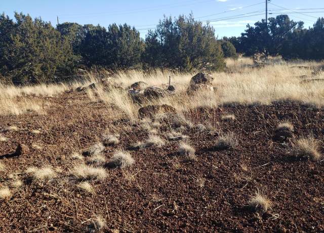 Property at 1786 Doughty Pl, Show Low, AZ 85901