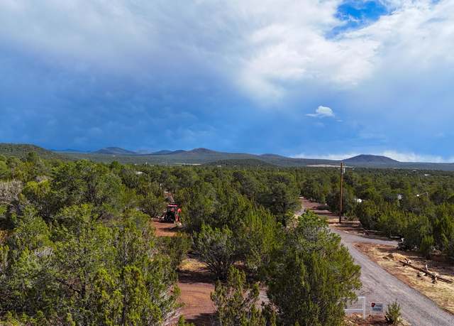 Property at 14 County Rd N3573, Vernon, AZ 85940