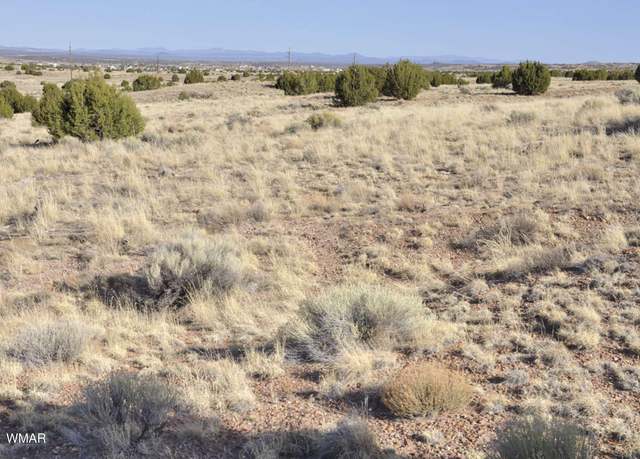 Property at TBD 9.27 ac Powerline Rd, Taylor, AZ 85939