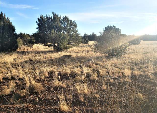 Property at 8745 Supancheck Rd, Show Low, AZ 85901