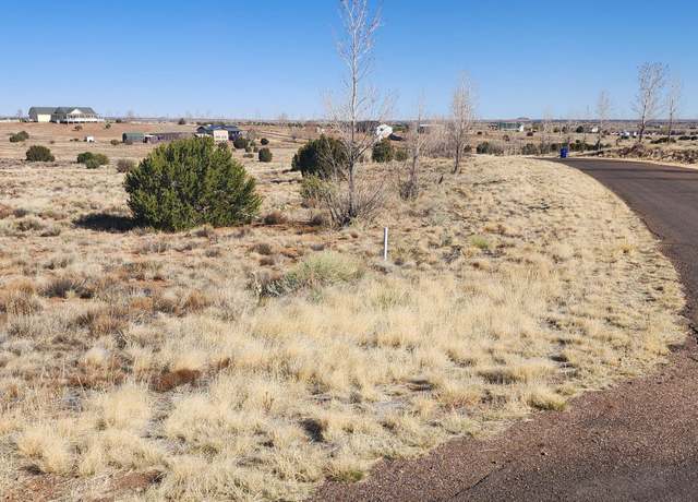 Property at 1251 Harvest Cir, Taylor, AZ 85939