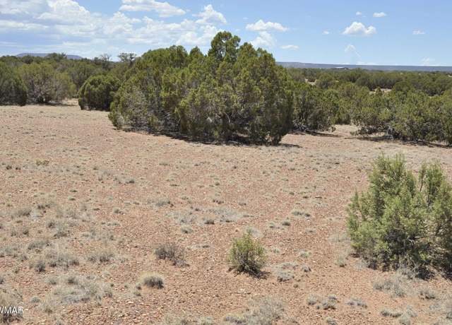 Property at 9188 N & 5270, Concho, AZ 85924