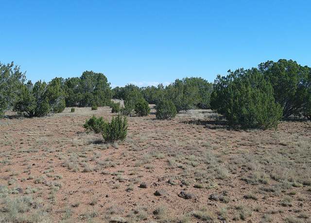 Property at 96 CR 8068 Dr, Concho, AZ 85924