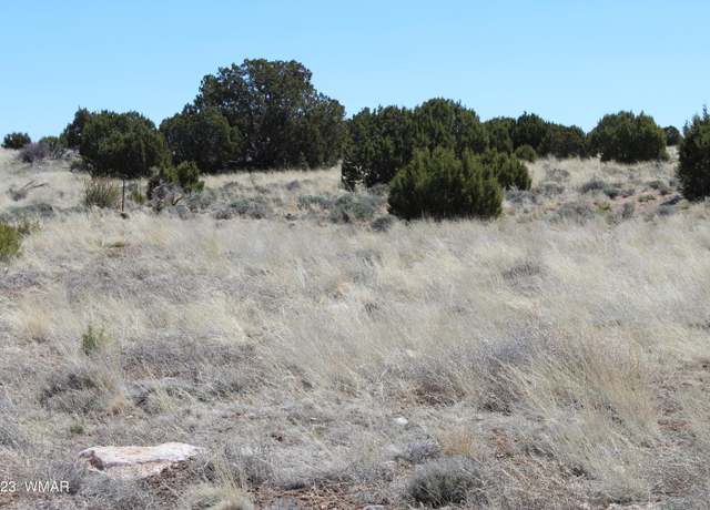 Property at 80 County Road 8620, Concho, AZ 85924
