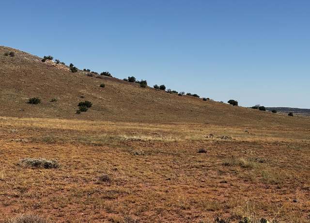 Property at 503C John Wayne RD ( CR 8521), Concho, AZ 85924