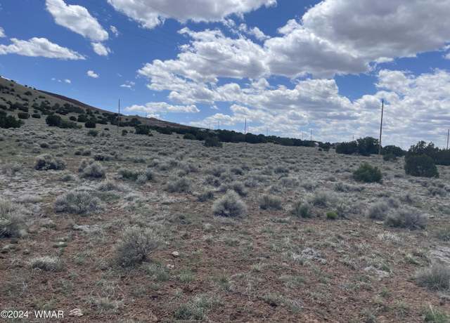 Property at 148 Cinder Dr, Concho, AZ 85924