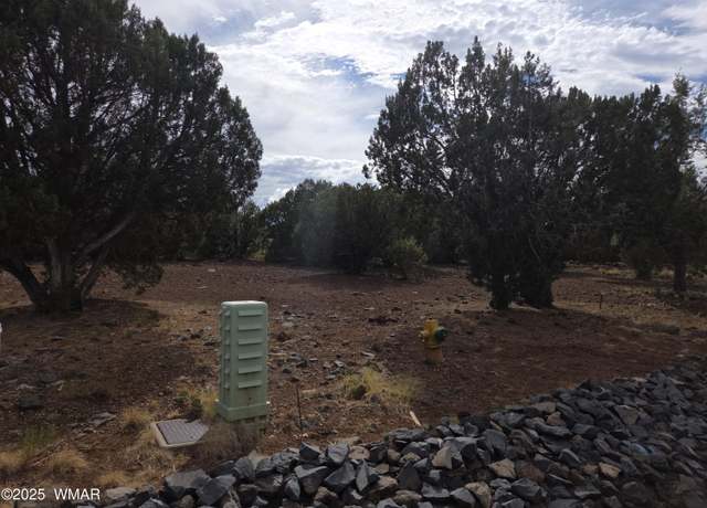 Property at 1920 Passage Dr, Show Low, AZ 85901
