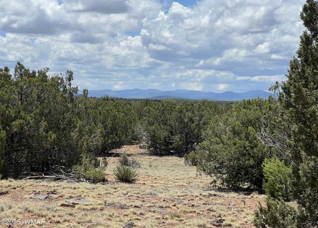 Property at TBD County Road 8309, Concho, AZ 85924