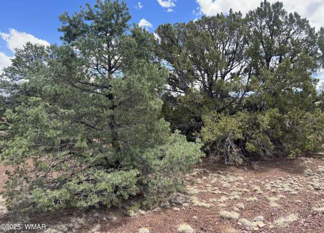 Property at Lot 72 County Road 3193, Vernon, AZ 85940